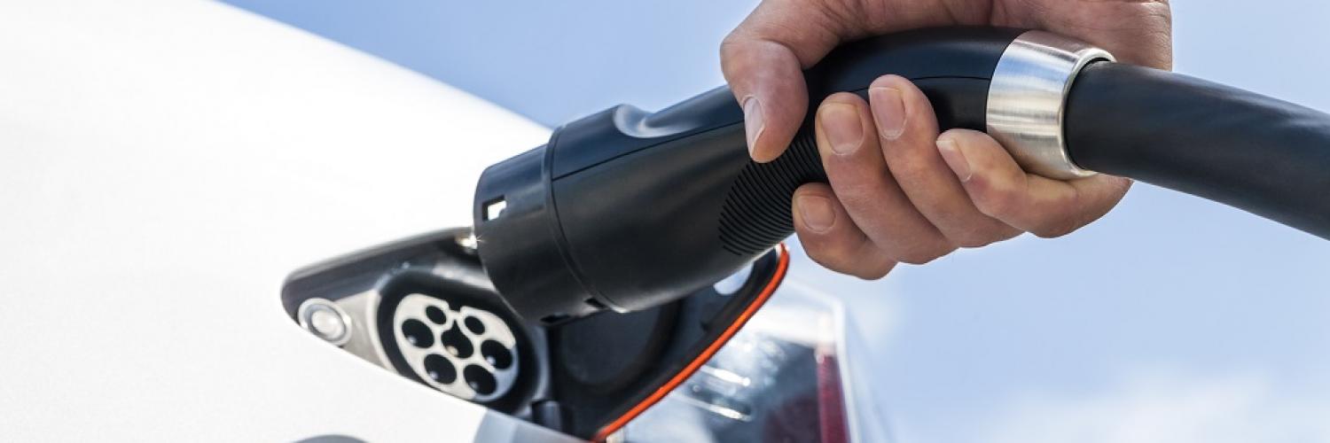 Electric Vehicles Fleet Arval